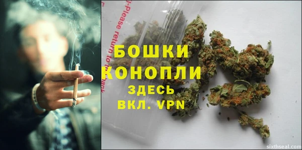 метадон Рославль