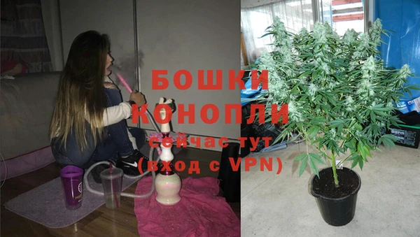 стафф Балабаново