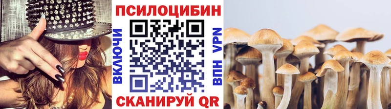 площадка как зайти  кракен как зайти  Белёв  Галлюциногенные грибы прущие грибы 